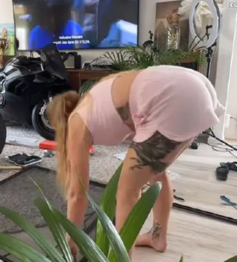 Image 2813617 from Josephine Welsch