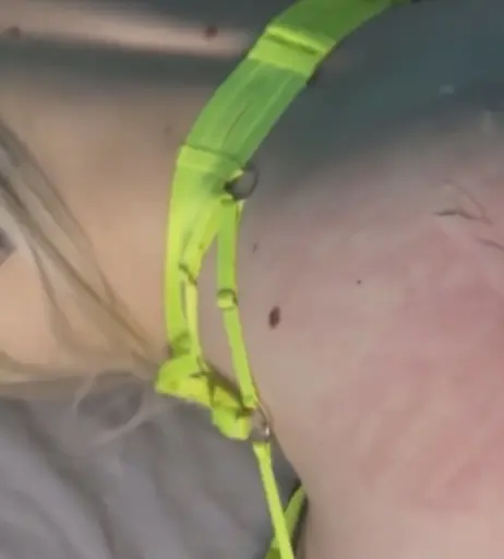 Image 2810389 from Bunny-Lou