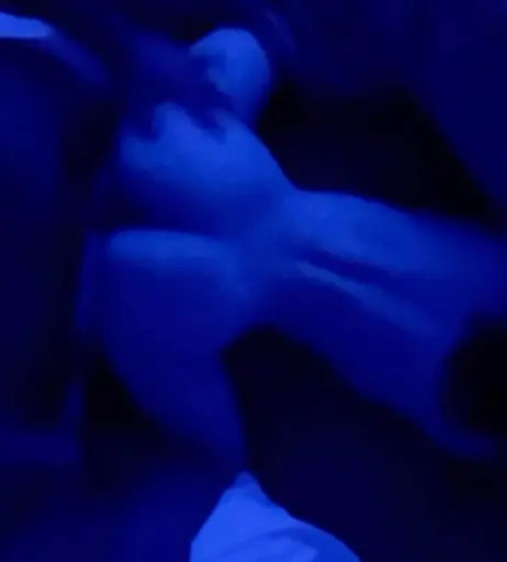 Image 2806998 from Ava Reyes