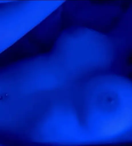 Image 2806995 from Ava Reyes