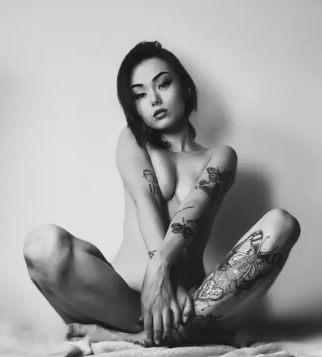 Image 2937111 from Traumwandler Allegra