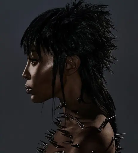 Image 2913310 from Naomi Campbell