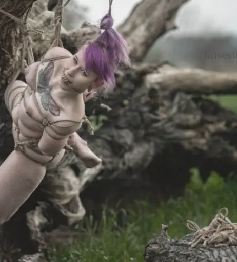 Image 290907 from Kiyoshi Sama