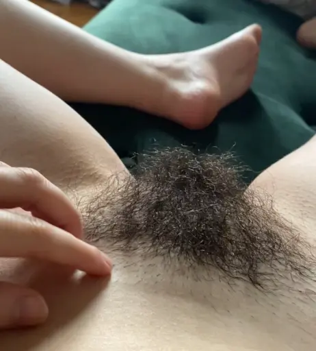 Image 2495819 from Quinn Finite