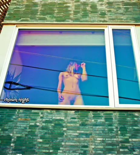 Image 2497692 from Shawn.Night