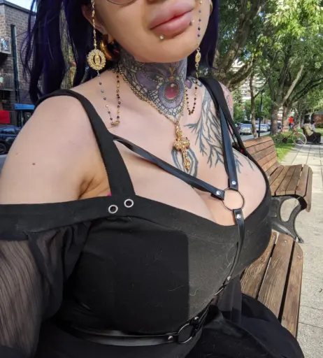 Image 2494698 from Ariane Saint-Amour