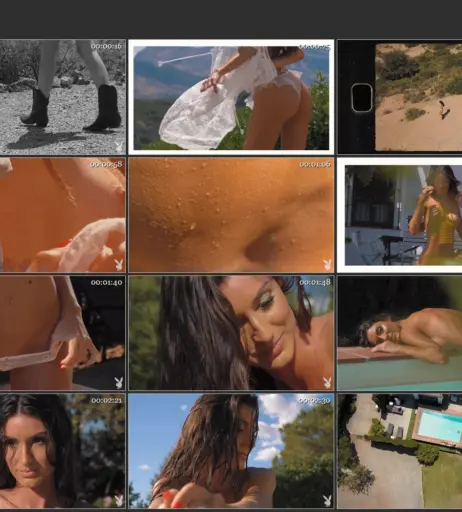 Image 2491566 from Zuriñe Aspiunza