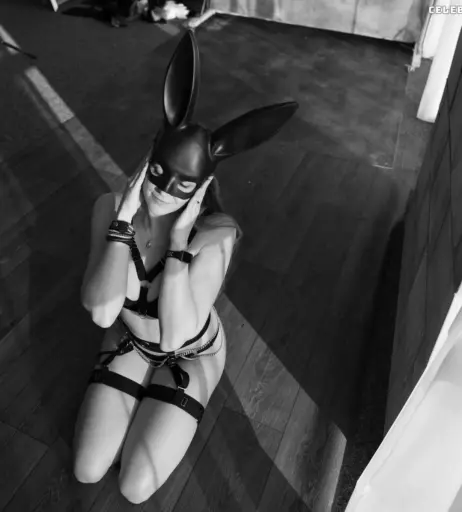 Image 2485646 from tiwipics