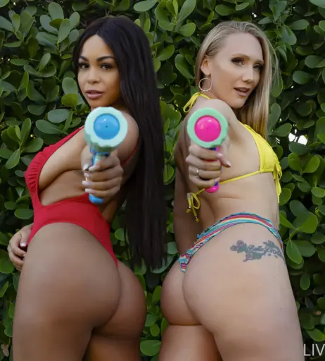 Image 24744503 from AJ Applegate
