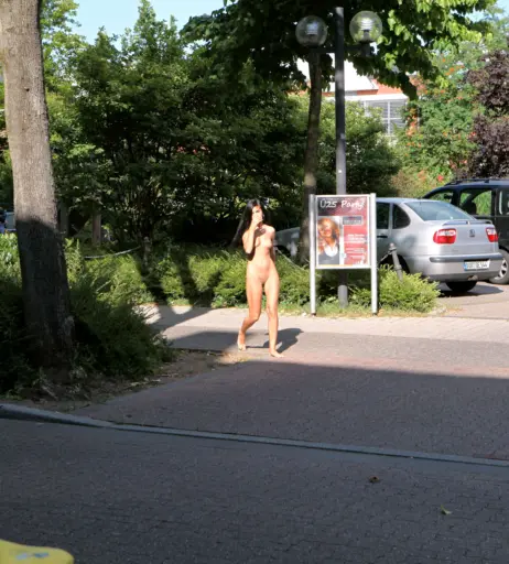 Image 2471562 from Nika Nikola