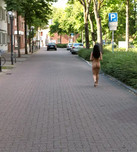 Image 2472793 from Nika Nikola