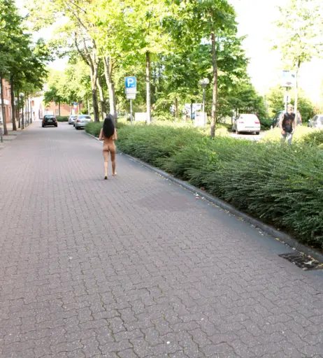 Image 2472735 from Nika Nikola