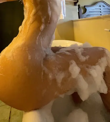 Image 2478739 from Madi Ruve