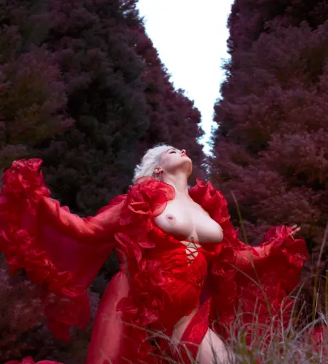 Image 24653994 from Stefania Ferrario