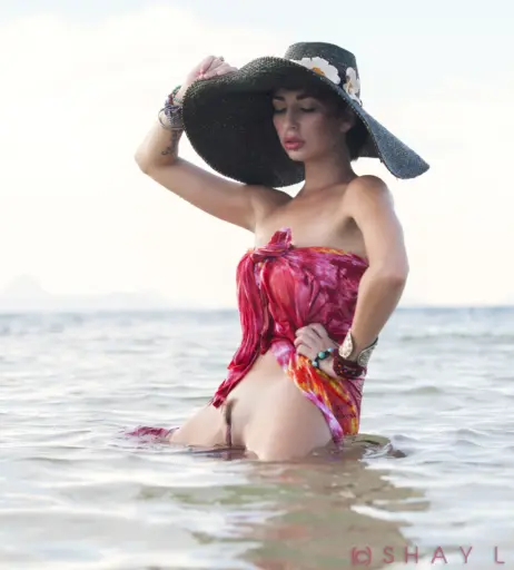 Image 24671624 from Shay Laren