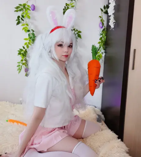 Image 24648956 from Caticornplay