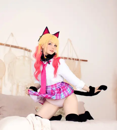 Image 24648599 from Caticornplay