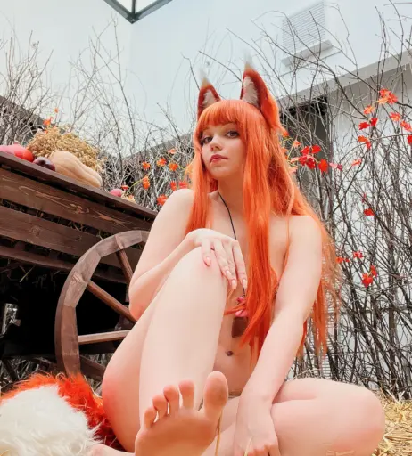 Image 24648194 from Caticornplay