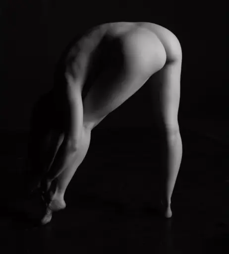Image 24617361 from Emily Bloom