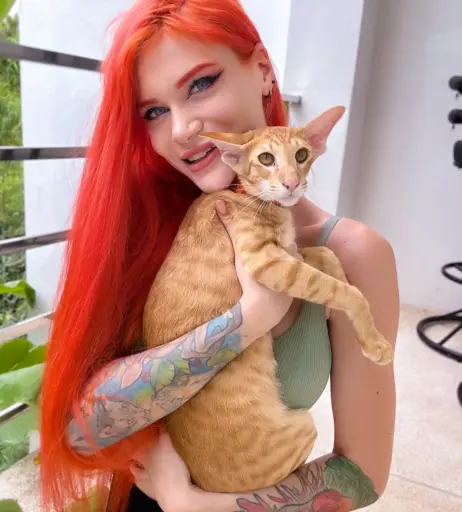 Image 2463402 from iamvirtuallady / Cosplay