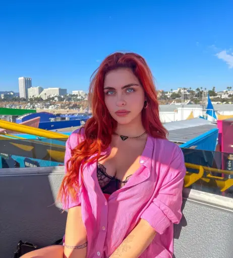 Image 2460571 from Lauren Hamden