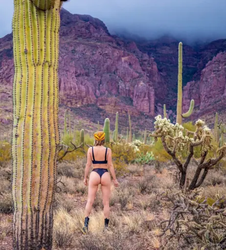 Image 24567003 from Sara Jean Underwood / Saraunderwood