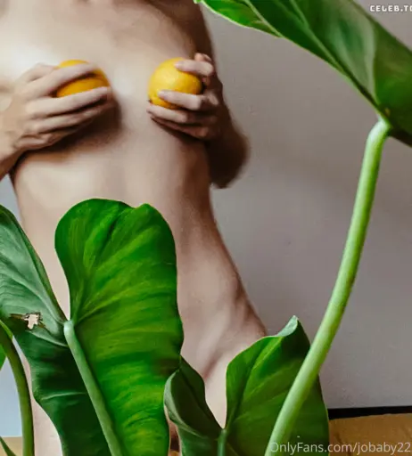 Image 2451736 from Jolene Roberts