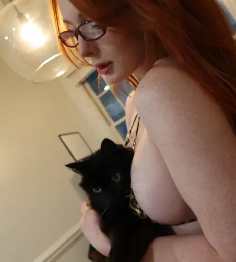 Image 24472824 from Jenna Lynn Meowri