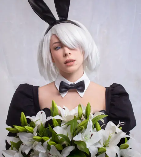 Image 24428149 from Enji Night
