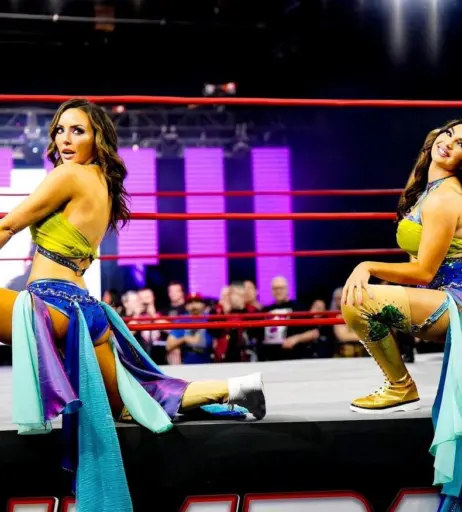 Image 24425483 from Cassie Lee/Jess McKay (Peyton Royce/Billie Kay)
