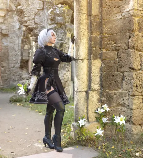Image 24427774 from Enji Night
