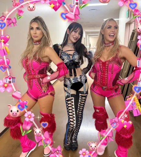 Image 24427181 from Cassie Lee/Jess McKay (Peyton Royce/Billie Kay)