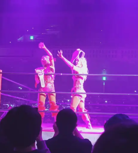 Image 24427173 from Cassie Lee/Jess McKay (Peyton Royce/Billie Kay)