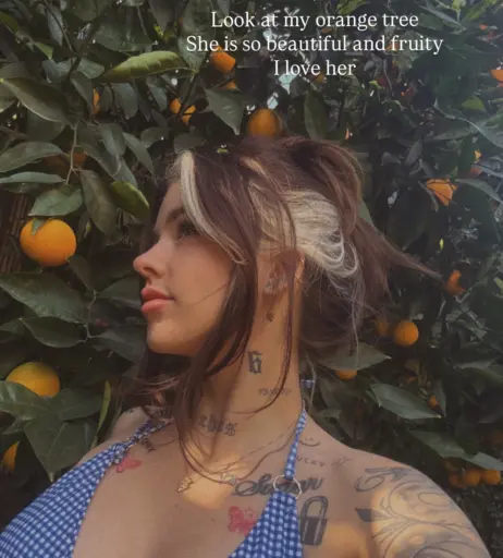 Image 24422495 from Cray/Craysounds