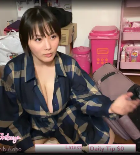 Image 24407533 from Kaho Shibuya
