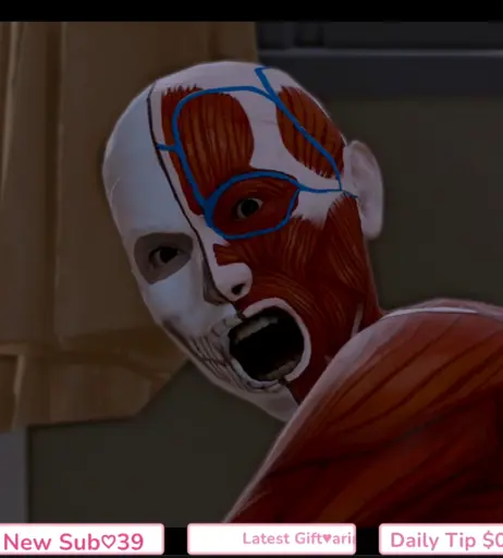 Image 24407142 from Kaho Shibuya