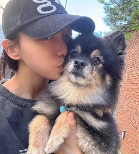 Image 24367081 from Eunji Pyoapple