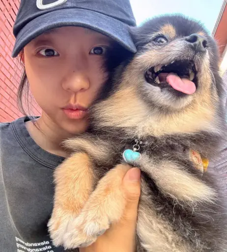 Image 24367085 from Eunji Pyoapple