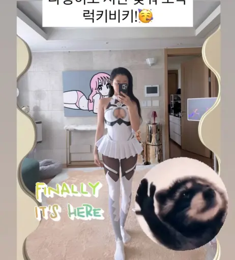 Image 24366553 from Eunji Pyoapple
