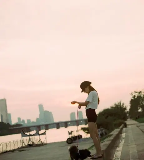 Image 24366682 from Eunji Pyoapple