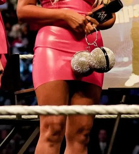 Image 24360463 from Maryse WWE