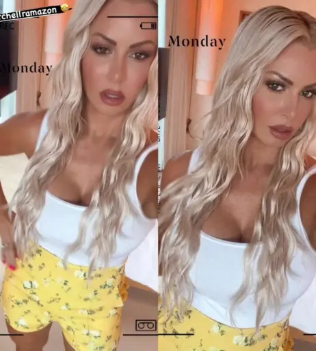 Image 24360471 from Maryse WWE