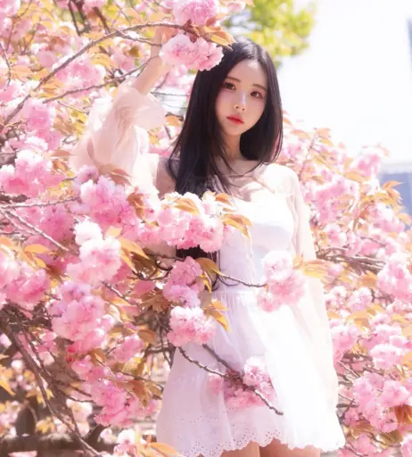 Image 24380516 from Habin (ex POCKETGIRLS)