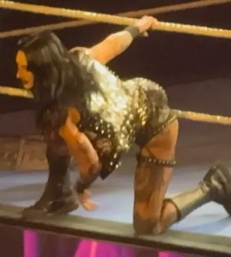 Image 24243780 from WWE Rhea Ripley