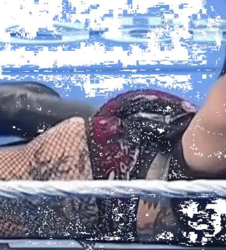 Image 24243693 from WWE Rhea Ripley