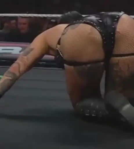 Image 24243352 from WWE Rhea Ripley
