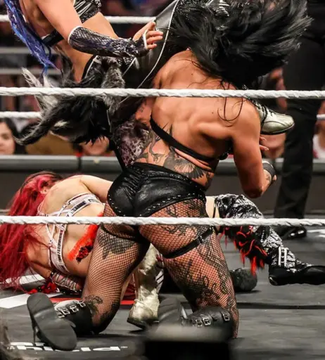 Image 24243372 from WWE Rhea Ripley
