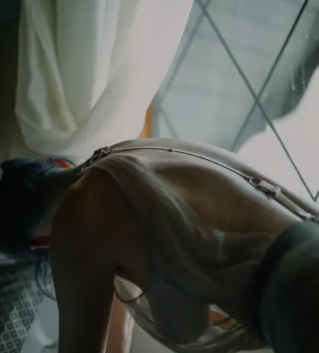 Image 24235936 from Bluejay