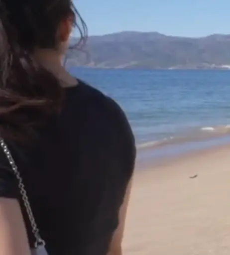 Image 24232384 from xChocobars