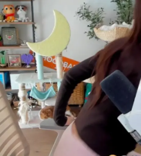 Image 24232314 from xChocobars